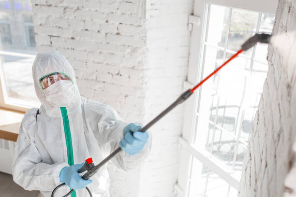 Heflin, AL Mold Remediation Company